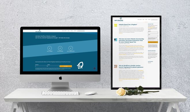 WP Cracks PageSpeed Profis